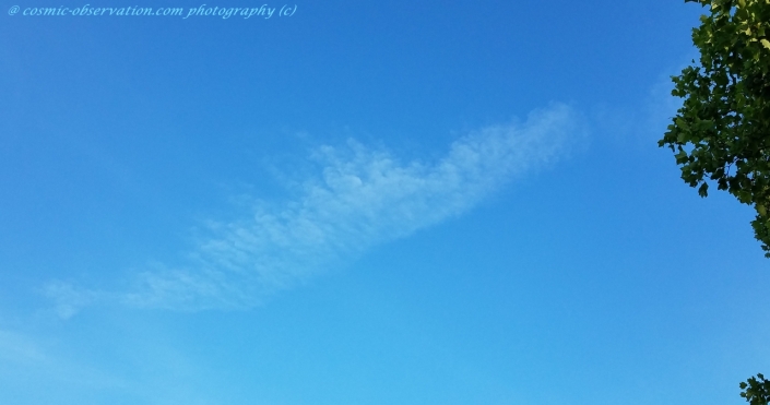 Whale Cloud Image