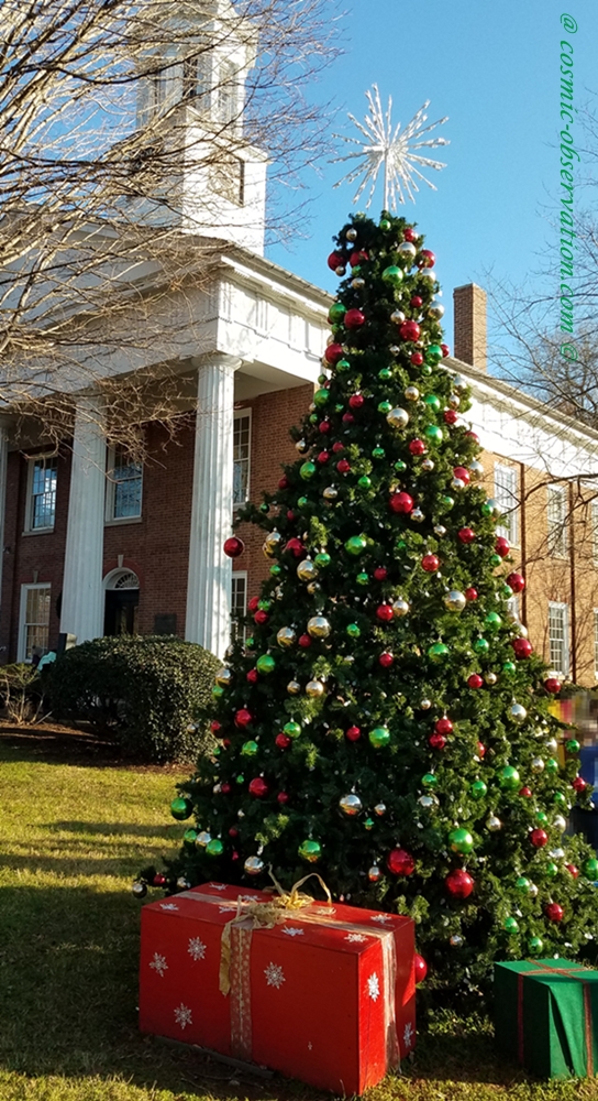 Town Christmas Tree Image One